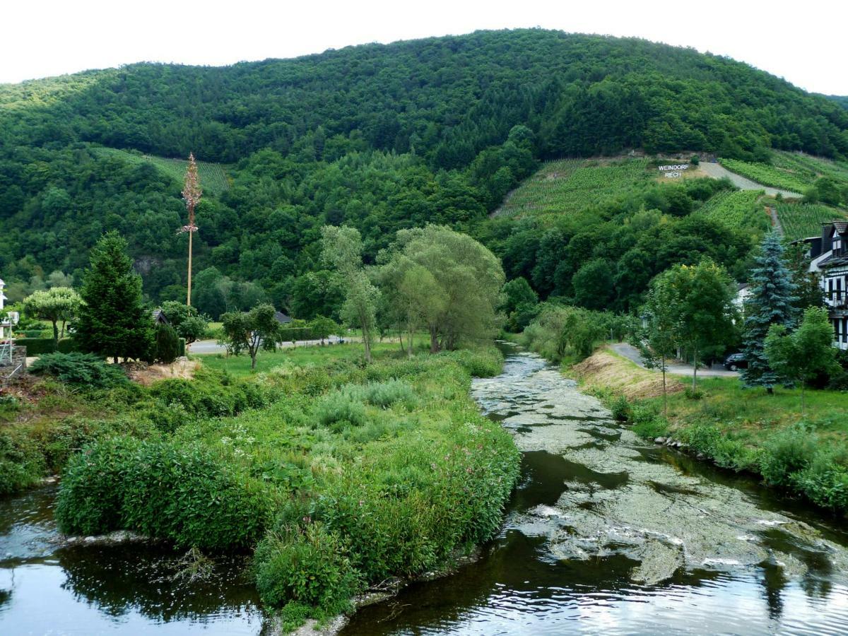 Relaxen Im Alten Winzerhaus Fewo Eg Rech Dış mekan fotoğraf